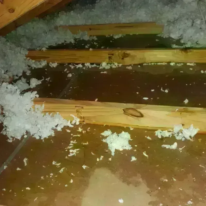 Best Attic Water Damage Service in Sebastian County, AR